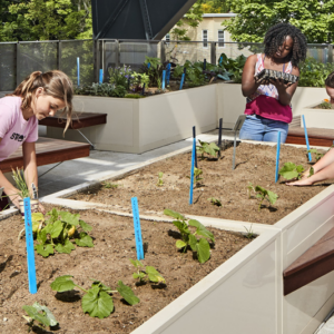 Photo of Schools: The Heart of Our Communities