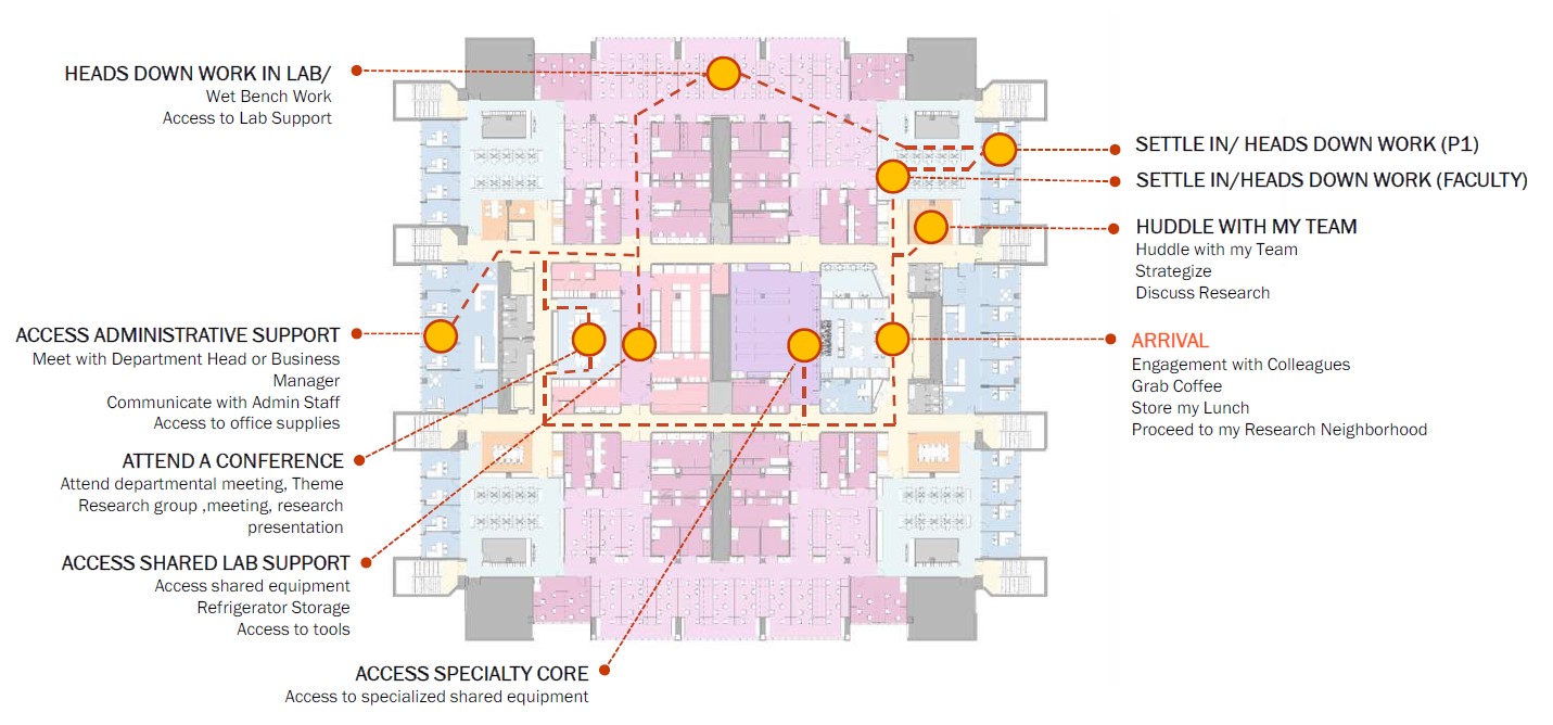 A floor plan shows the new layouts for the biomedical research floors of the Medical Education Building at LSU Health in New Orleans. 